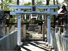 b03.JPG